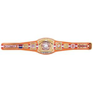 Ceinture de championnat réplique John Cena Farewell Tour 2025 Tampa Spinner - Product Image 4