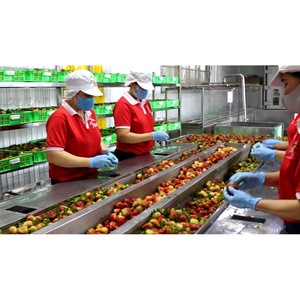 Bebida de Jugo de Mango Espumoso de 330 ml, Fabricante de Bebidas de Marca Privada OEM ODM - Product Image 4