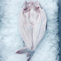 Filet de basa de viande blanche surgelé de qualité supérieure, bien épluché, à forte brillance, produits de la mer