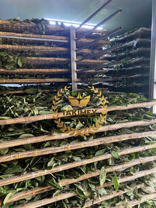 Cantidad a granel de Vietnam, hojas de Guanábana secas a máquina, 500g por bolsa, venta al por mayor para té y productos de salud - Product Image 3