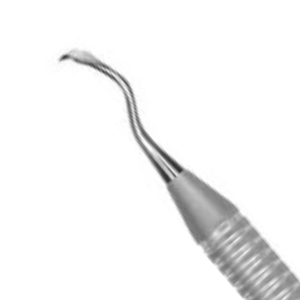 Ciseaux périodontaux Rhodes 36/37 en acier inoxydable, instrument chirurgical dentaire de précision pour la coupe des gencives et des os - Product Image 4