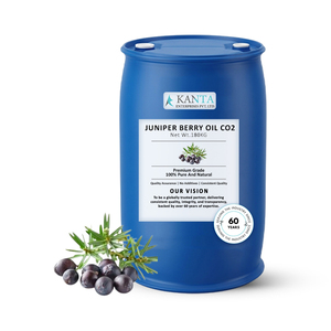 Huile de CO2 de baies de genévrier de qualité export, extrait naturel pur de Juniperus Communis, fabricant et fournisseur en vrac en Inde - Product Image 3