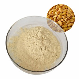 Premium Fenugreek Seed Powder Health Food Grade Fenugreek Seed Powder Bulk Supplier For Nutritional Supplement & Herbal Products - Product Image 1