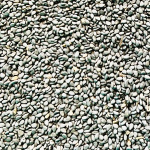 Graines de sésame grillées séchées de qualité supérieure, saveur naturelle, conditionnées en vrac pour les acheteurs importateurs mondiaux, qualité garantie - Product Image 5