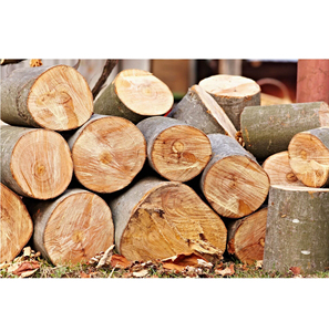 Premium <b>Timber</b> Logs Forestry Grade For Construction And Processing Export - Product Image 6