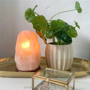 Premium quality Carved Himalayan Salt Lamp Pure Natural White Pink Waterproof Holiday & Wedding Decor with Wooden Base - Product Image 5