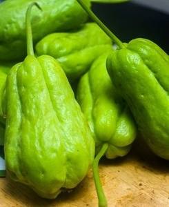Chayote Congelado Listo para Cocinar, Ingrediente para Fábricas de Alimentos, Cocinas y Servicios de Catering - Product Image 2