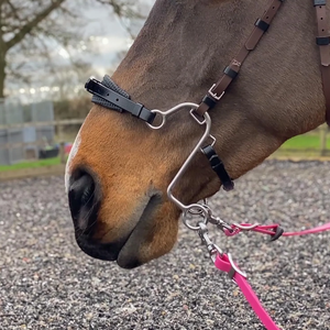 Mors de cheval Hackamore Little S en acier inoxydable poli, embout lisse, qualité supérieure, pour cavalier vétérinaire - Product Image 3