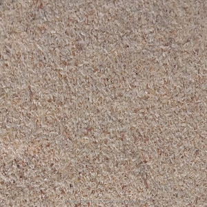 Coque de Psyllium riche en fibres de haute qualité provenant de l'inde - Product Image 6