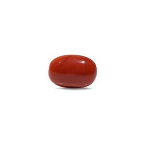Natural Red Coral Beads 7.55 Carat Certified Wholesale Quality - Product Image 1