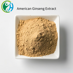 Органический натуральный Американский экстракт корня женьшеня, порошок, 80%, американский гинсенозидный высококачественный генистеин, вакуумный барабан - Product Image 4