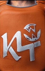 Protection de poitrine unisexe pour adultes, Muay Thai, Taekwondo, entraînement, PVC, cuir PU, respectueux de l'environnement, protection corporelle, toutes les couleurs, KLTW INT'L KL-CG-606 - Product Image 6