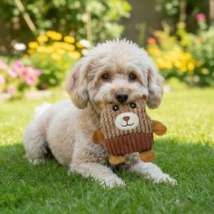 ตุ๊กตาขนนุ่ม YOMMY CozyBears ขนาด 22*20 ซม. ของเล่นสัตว์เลี้ยงนุ่มนิ่ม ทนทาน กอดได้ สุนัขและแมว - Product Image 5