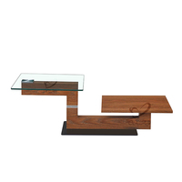 Table basse moderne durable et légère à double plateau, en verre trempé, couleur bois, table d'appoint, meubles de salon