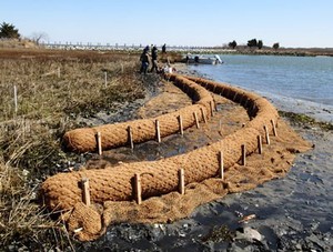 เชือกใยมะพร้าวธรรมชาติจากเวียดนาม – เชือกใยมะพร้าวแข็งแรงทนทาน เป็นมิตรกับสิ่งแวดล้อม // คุณทอม - Product Image 6