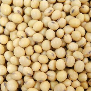 Organic Certified <b>Soybean</b> Seed For Sustainable Farming And Crop Growth With Nutrient Rich <b>Soybean</b> Seed For Global Buyers - Product Image 4