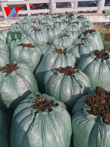 Algas marinas secas de Vietnam de sargazo natural con la mejor calidad y el precio más bajo/Sra. Lima - Product Image 3