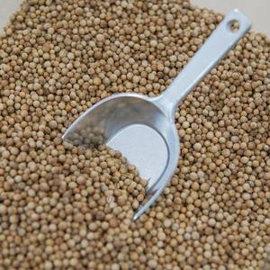 Graines de coriandre entières |   Origine sud-africaine, nettoyé à la machine, scellé sous vide |   Durée de conservation stable |   pour les mélanges d'épices au curry pour la marinade - Product Image 4