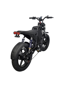 Bicicleta Eléctrica Plegable de 20 Pulgadas con Batería de Litio-Ferrofosfato, Pedaleo Asistido Electrónico, 7 Velocidades, Motor de 48V en la Rueda Trasera, Doble Motor - Product Image 3