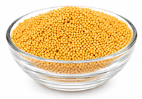 Aqua Vriksha Premium Graines de moutarde jaunes 100% pures |   Graines de moutarde indiennes entières naturelles pour la cuisine, les cornichons et les mélanges d'épices