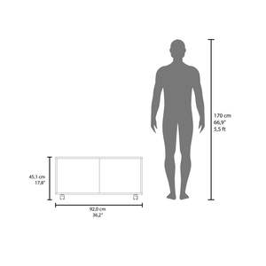 โต๊ะกาแฟสีดำสวนตะวันตกสำหรับห้องนั่งเล่น - Product Image 6