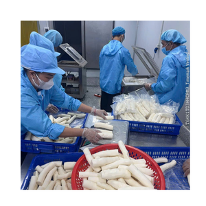 Producción de Yuca Congelada para Canales Mayoristas y de Distribución - Product Image 2