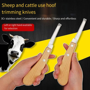 Cuchillo para Recortar Pezuñas GOLDEN (Recto y Curvo) para Ganado, Caballos y Cerdos - Herramienta Médica para el Cuidado de Animales, para Mano Derecha/Izquierda, de Acero Inoxidable - Product Image 5