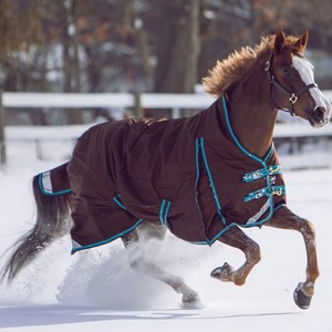 Brown Premium Waterproof <b>Star</b> Print Horse Rug with Large Tail Flap and 2 Leg Straps Oxford <b>Fabric</b> Winter Outdoor Use - Product Image 2