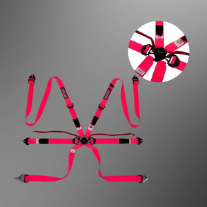 TBRACING ULTRA-D OEM ODM Harnais de course 6 points homologué FIA 2 pouces, Ceinture de sécurité avec brevet taïwanais pour soutien des épaules, Ceintures de maintien personnalisées - Product Image 1