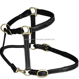 Equipo de entrenamiento equino, cuello de cabeza, Halter de caballo cómodo, suministros esenciales para el cuidado del caballo, brida de caballo duradera, Headstall - Product Image 5