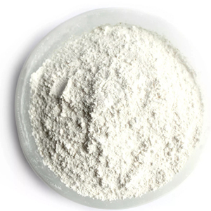 Productos en Oferta, Carbonato de Magnesio MgCO3 CAS 13717-00-5, Polvo de Carbonato de Magnesio - Product Image 1