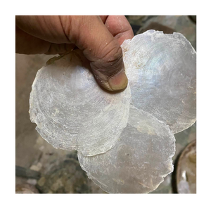 Conchas de Capiz 100% Naturales de Vietnam, Forma Redonda, para Manualidades, Decoración del Hogar y Proyectos de Diseño de Interiores - Product Image 5