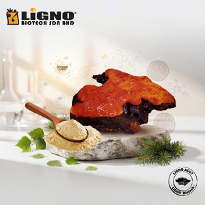 ผงเห็ดแอนโตรเดีย แคมฟอร์าต้า iGNO |   ส่วนผสมเครื่องดื่มพรีเมียมเพื่อสุขภาพและผลิตภัณฑ์เสริมอาหาร |   ผู้ผลิตแบบ OEM/ODM - Product Image 1