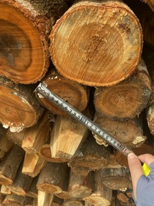 Piquets en bois robustes, pointus, en bois naturel, pour le soutien des plantes, la construction de clôtures de jardin et l'aménagement paysager - Product Image 1