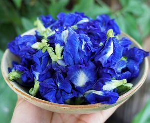Vietnamese Premium Butterfly Pea Flowers for Herbal <b>Tea</b> with Natural Lotus Seeds and Wellness Drink Recipes - Product Image 2