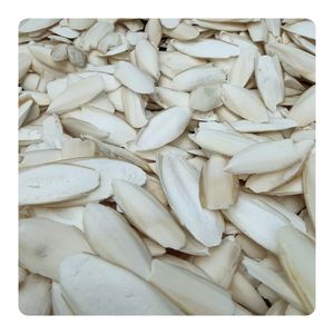Hueso de Sepia de Alta Calidad, Precio Mayorista Económico, Alto Contenido de Calcio, Hueso de Sepia Natural Premium, Suministro a Granel de Fábrica - Product Image 3
