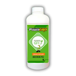 Paquete de prueba de líquido de 1000ML al mejor precio de Malasia para suministros de jardín doméstico plantas y flores ornamentales - Product Image 1