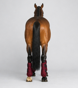 Bottes de protection en néoprène pour l'équitation, absorbant les chocs, respirantes, durables, protection des jambes, fournisseur OEM, bottes d'équitation - Product Image 5