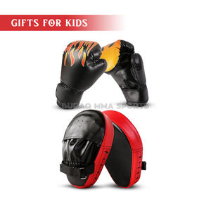 Kit de Boxeo para Niños, Guantes de Entrenamiento y Juego de Saco de Boxeo para Principiantes - Product Image 1
