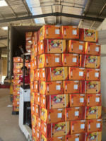 Verse Vietnamese Dragon Fruit (wit/rood vlees) zoet voor export groothandelsmarkt 30-45 dagen houdbaarheid TECHMIFOOD koude opslag