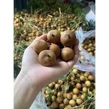 Longan Congelado IQF Premium, Pulpa de Longan Sin Semillas, Venta al Por Mayor - Product Image 3