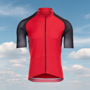 Jersey de Ciclismo para Hombre de Alta Calidad OEM, Manga Larga, Transpirable, de Secado Rápido, 100% Poliéster, Conjunto de Ropa para Ciclismo de Carretera, Venta al Por Mayor - Product Image 1