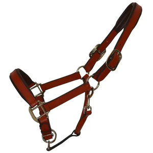 Bridon d'obstacle anatomique en acier inoxydable avec cuir huilé rembourré et rênes en caoutchouc anti-pression pour un confort optimal - Product Image 2