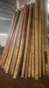 Varas de Bambú Natural de Vietnam al por Mayor para Soporte de Plantas de Jardín - Proveedor - Product Image 4