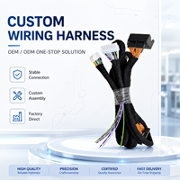 Arnés de cableado para amplificador DSP de coche, conector macho-hembra con funda trenzada OEM personalizada