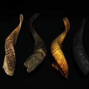 Cuerno de Oveja y Cabra Pulido de Alta Calidad, Ecológico, Color Natural, Tamaño Personalizado, Arte Coleccionable Duradero con Diseño de Ángel y Pata de Perro - Product Image 1