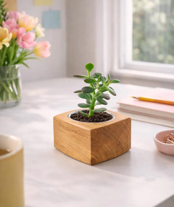 Maceta Ecológica de Madera con Diseño de Corteza Natural para Plantas Suculentas de Interior, Decoración de Escritorio - Product Image 4