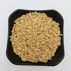 ข้าวโอ๊ตแห้งคุณภาพพรีเมียมจากบราซิล ขายส่งจำนวนมาก เกรดอาหาร พร้อมส่งออก - Product Image 6