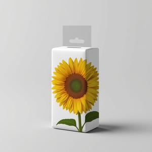 Dispensador Vertical Rectangular de Pañuelos Faciales de 3 Capas con Dispensación desde Abajo, Suministro de Marca Privada - Product Image 4