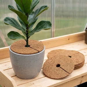 Anneaux et disques de paillis modernes en fibre de coco pour la protection des racines des arbres, pour l'intérieur et l'extérieur, gain de place, aménagement des plantes - Product Image 5